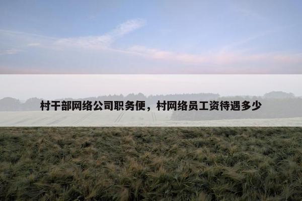 村干部网络公司职务便，村网络员工资待遇多少