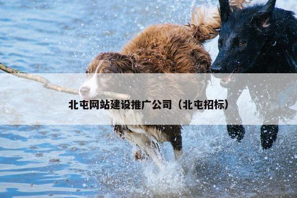 北屯网站建设推广公司（北屯招标）