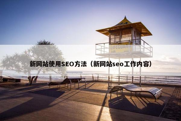 新网站使用SEO方法（新网站seo工作内容）