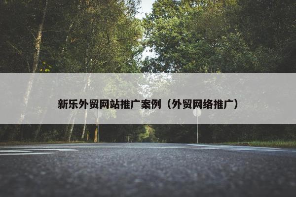 新乐外贸网站推广案例（外贸网络推广）