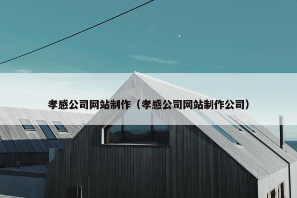 孝感公司网站制作（孝感公司网站制作公司）