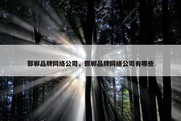 邯郸品牌网络公司，邯郸品牌网络公司有哪些
