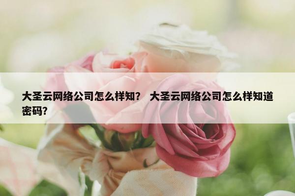 大圣云网络公司怎么样知？ 大圣云网络公司怎么样知道密码？