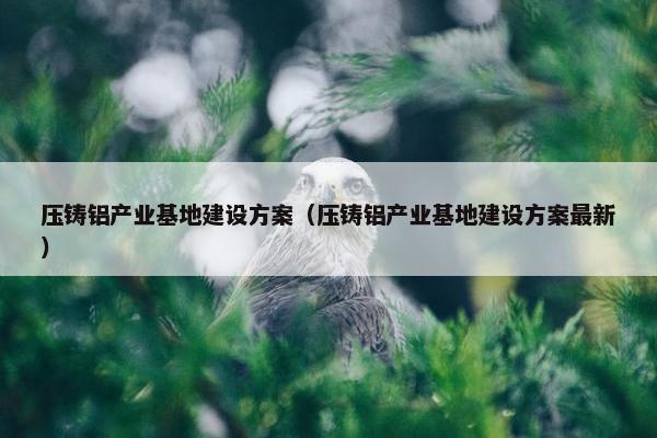 压铸铝产业基地建设方案（压铸铝产业基地建设方案最新）