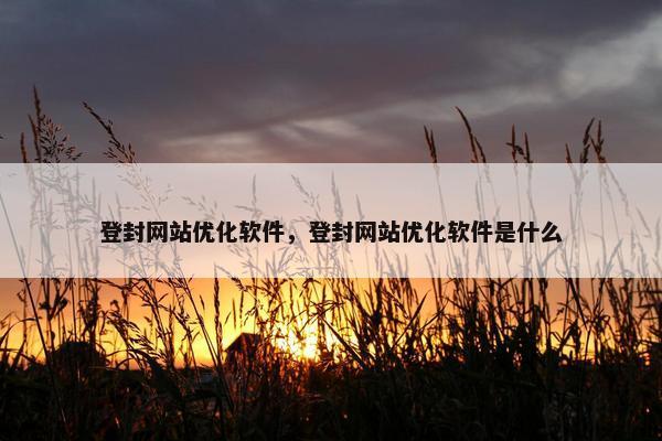 登封网站优化软件，登封网站优化软件是什么