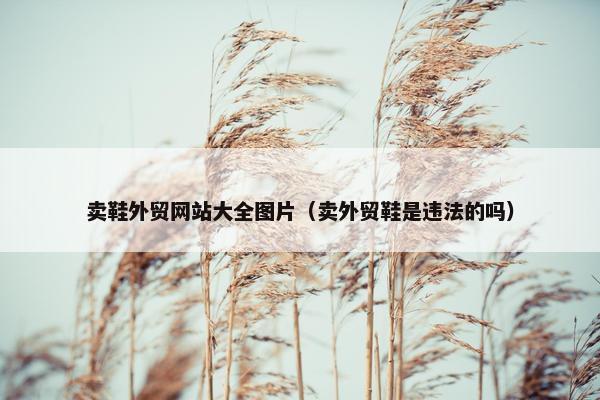 卖鞋外贸网站大全图片（卖外贸鞋是违法的吗）