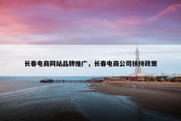 长春电商网站品牌推广，长春电商公司扶持政策