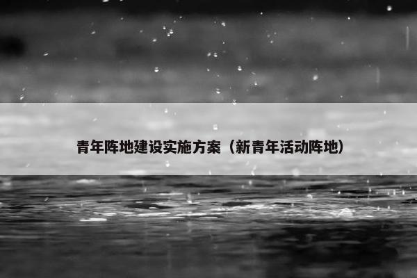 青年阵地建设实施方案（新青年活动阵地）