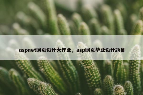 aspnet网页设计大作业，asp网页毕业设计题目