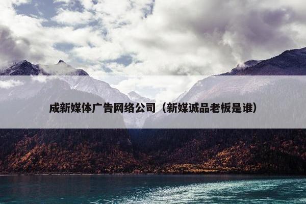 成新媒体广告网络公司（新媒诚品老板是谁）