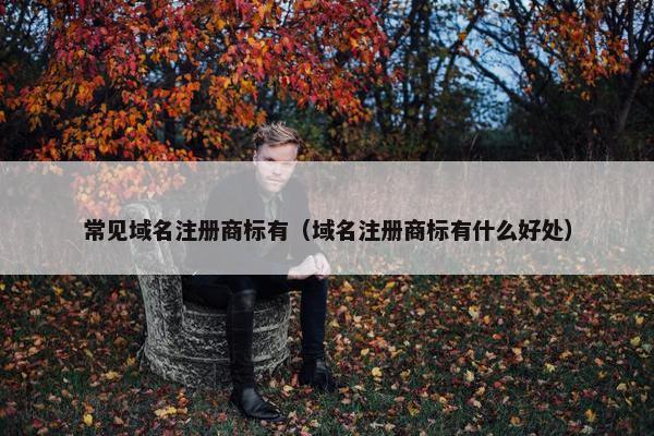 常见域名注册商标有（域名注册商标有什么好处）