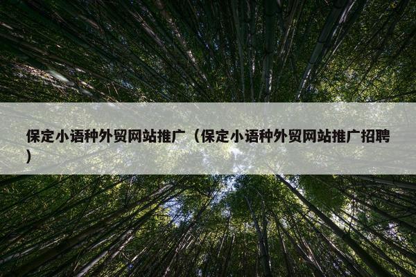 保定小语种外贸网站推广（保定小语种外贸网站推广招聘）