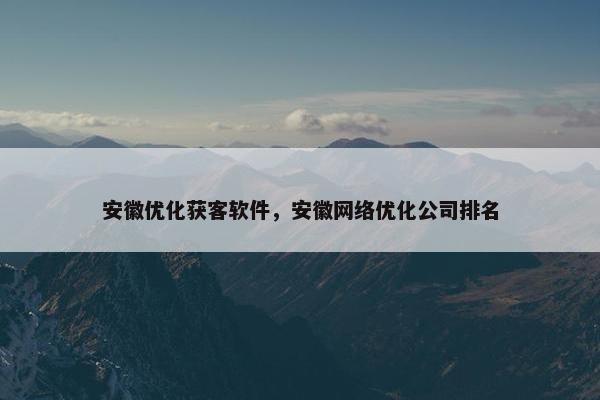 安徽优化获客软件，安徽网络优化公司排名