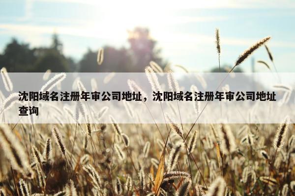 沈阳域名注册年审公司地址，沈阳域名注册年审公司地址查询