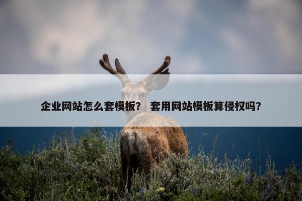 企业网站怎么套模板？ 套用网站模板算侵权吗？