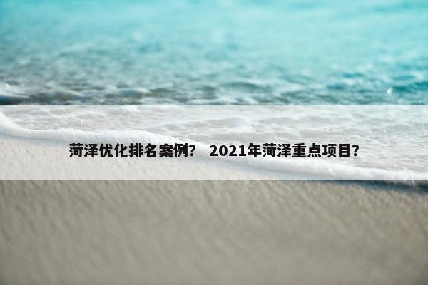 菏泽优化排名案例？ 2021年菏泽重点项目？