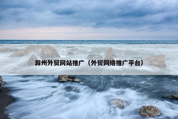 滁州外贸网站推广（外贸网络推广平台）