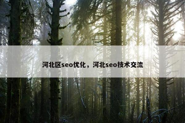 河北区seo优化，河北seo技术交流