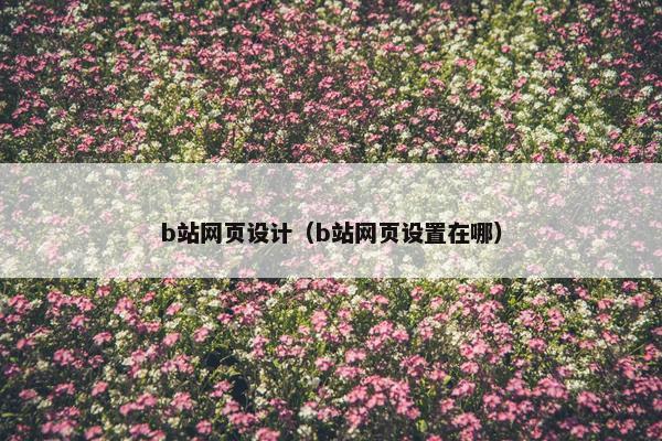 b站网页设计（b站网页设置在哪）