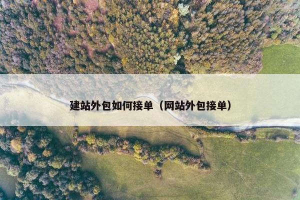 建站外包如何接单（网站外包接单）