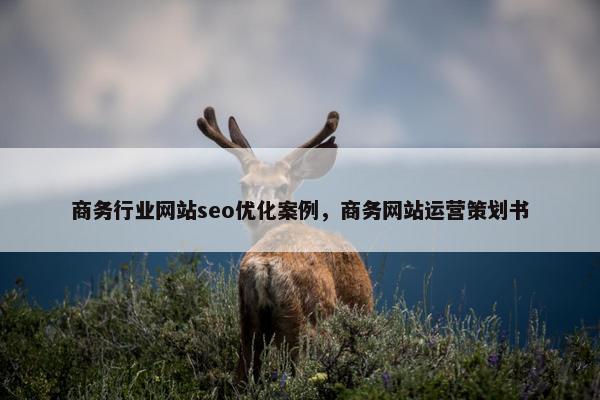 商务行业网站seo优化案例，商务网站运营策划书