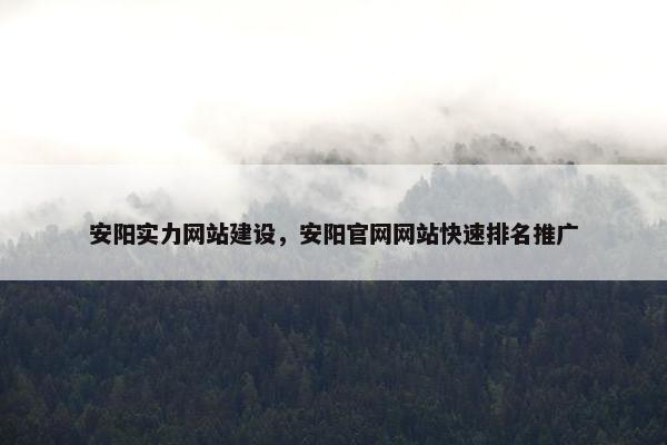 安阳实力网站建设，安阳官网网站快速排名推广