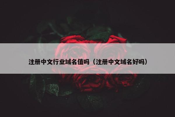 注册中文行业域名值吗（注册中文域名好吗）