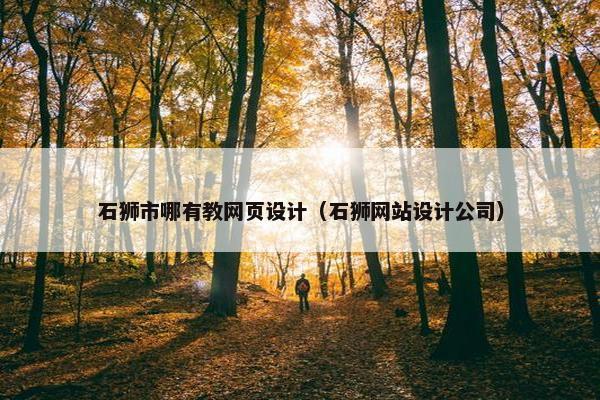 石狮市哪有教网页设计（石狮网站设计公司）