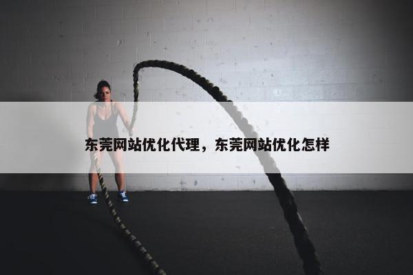 东莞网站优化代理，东莞网站优化怎样