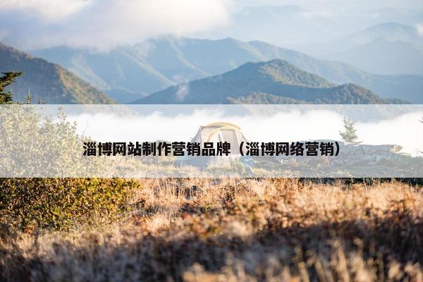 淄博网站制作营销品牌（淄博网络营销）