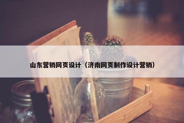 山东营销网页设计（济南网页制作设计营销）