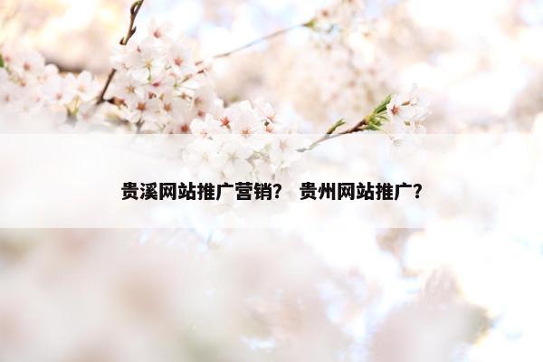 贵溪网站推广营销？ 贵州网站推广？