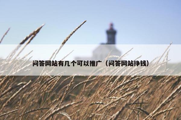 问答网站有几个可以推广（问答网站挣钱）