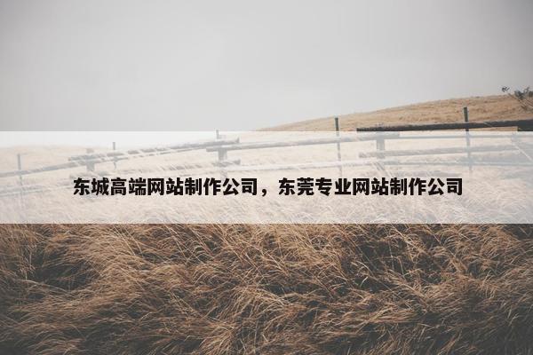 东城高端网站制作公司，东莞专业网站制作公司