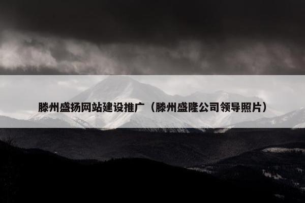 滕州盛扬网站建设推广（滕州盛隆公司领导照片）