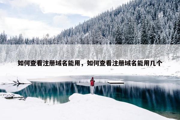如何查看注册域名能用，如何查看注册域名能用几个