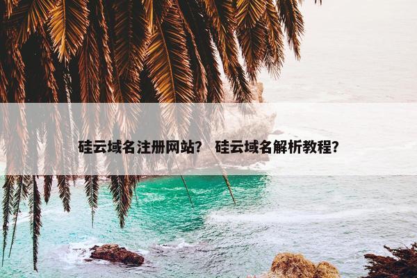 硅云域名注册网站？ 硅云域名解析教程？