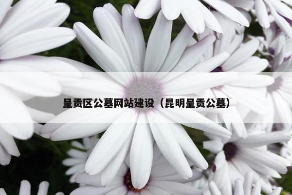 呈贡区公墓网站建设（昆明呈贡公墓）