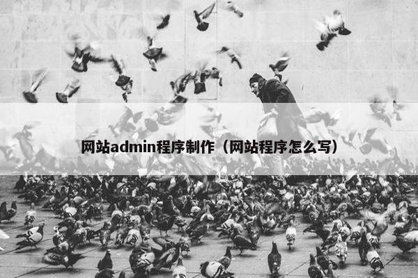 网站admin程序制作（网站程序怎么写）