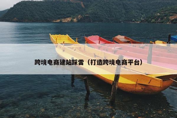 跨境电商建站踩雷（打造跨境电商平台）