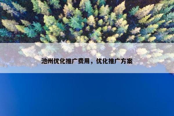 池州优化推广费用，优化推广方案
