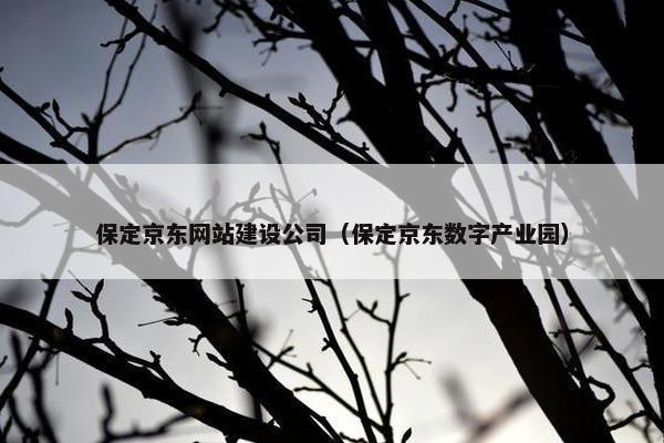 保定京东网站建设公司（保定京东数字产业园）