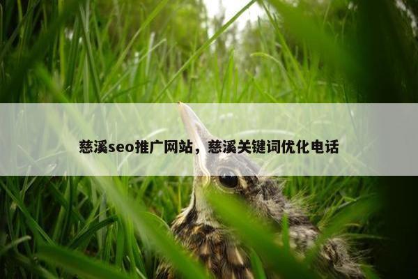 慈溪seo推广网站，慈溪关键词优化电话