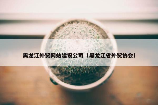 黑龙江外贸网站建设公司（黑龙江省外贸协会）