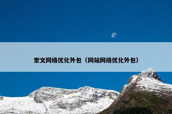 奎文网络优化外包（网站网络优化外包）