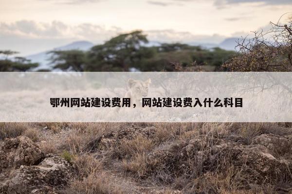 鄂州网站建设费用，网站建设费入什么科目
