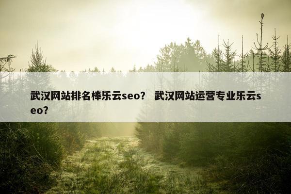 武汉网站排名棒乐云seo？ 武汉网站运营专业乐云seo？