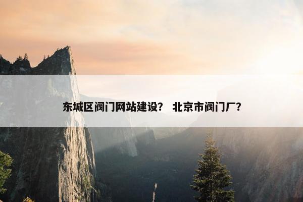 东城区阀门网站建设？ 北京市阀门厂？