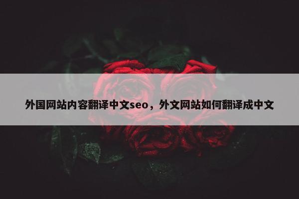 外国网站内容翻译中文seo，外文网站如何翻译成中文
