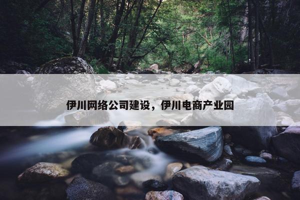 伊川网络公司建设，伊川电商产业园